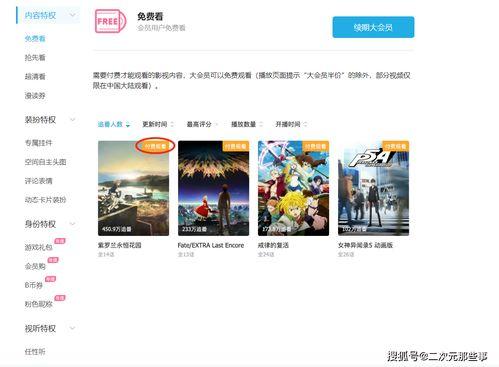 b站大会员视频,深度解析热门内容背后的故事